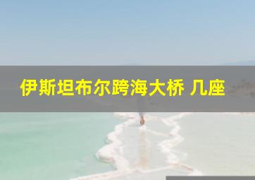 伊斯坦布尔跨海大桥 几座